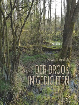 cover image of Der Brook in Gedichten